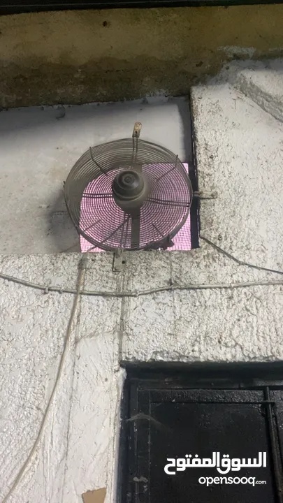 كافيه وبلياردو بطولكرم للبيع