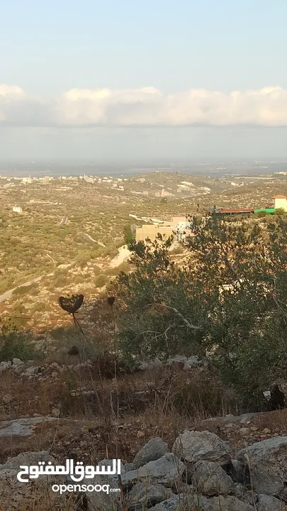 القبة الذهبية  شارع بلعا-دير الغصون