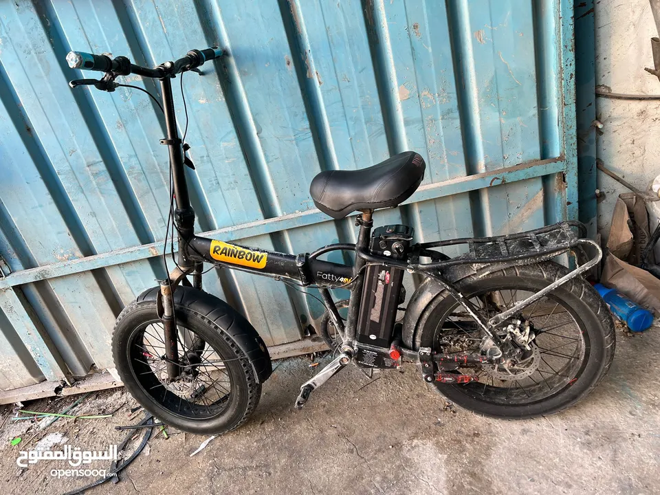 1200 عجل عريض