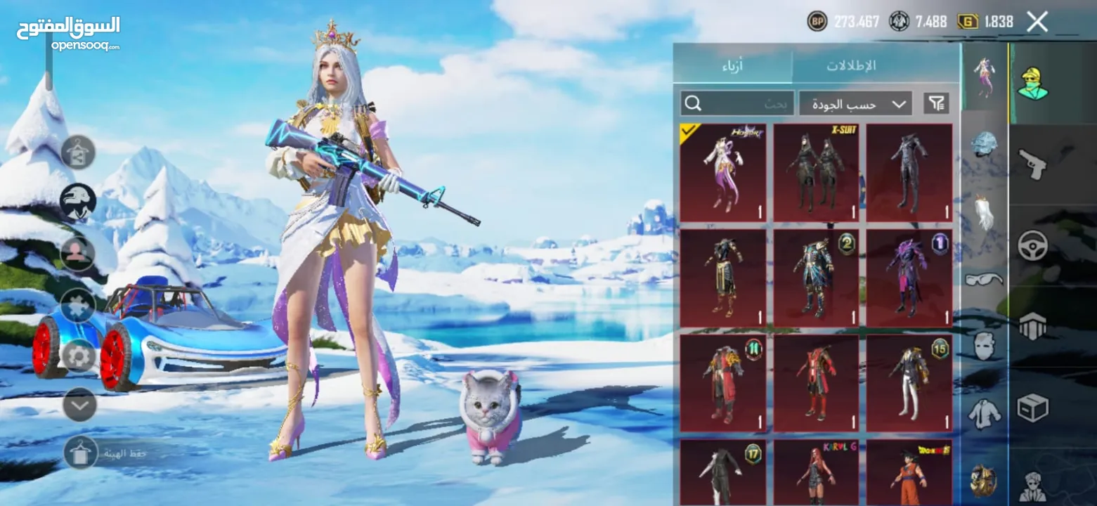 حساب ببجي مرتب