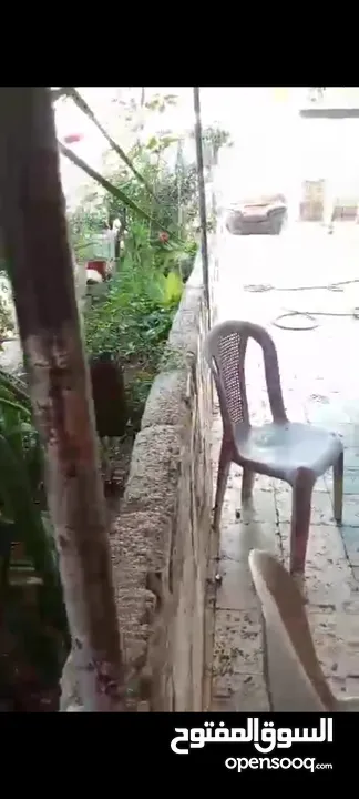 بيت ومنازل للبيع