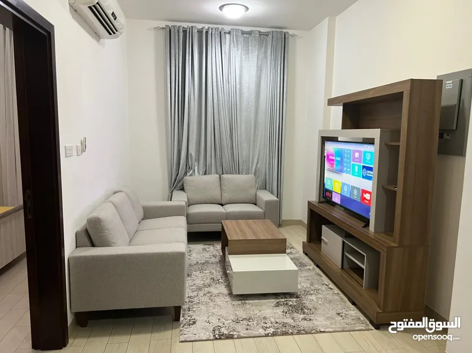 One bedroom furnished apartment