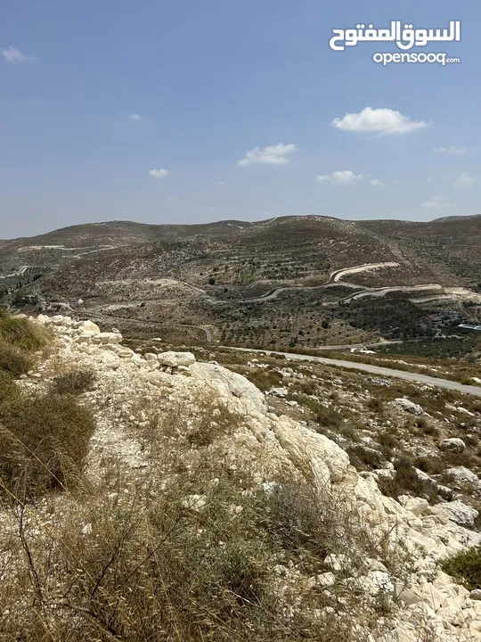 دونم للبيع بسعر مغري في بيت امرين قريب جدا من الخدمات و البناء