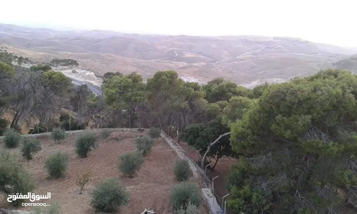 مزرعة و شاليه للبيع قرب منتزه زي مدينة السلط