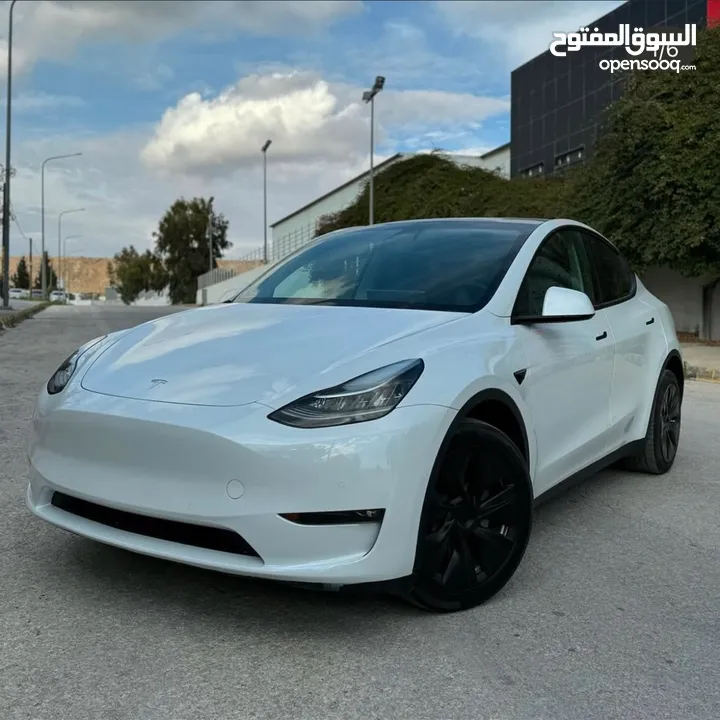 Model y 2021