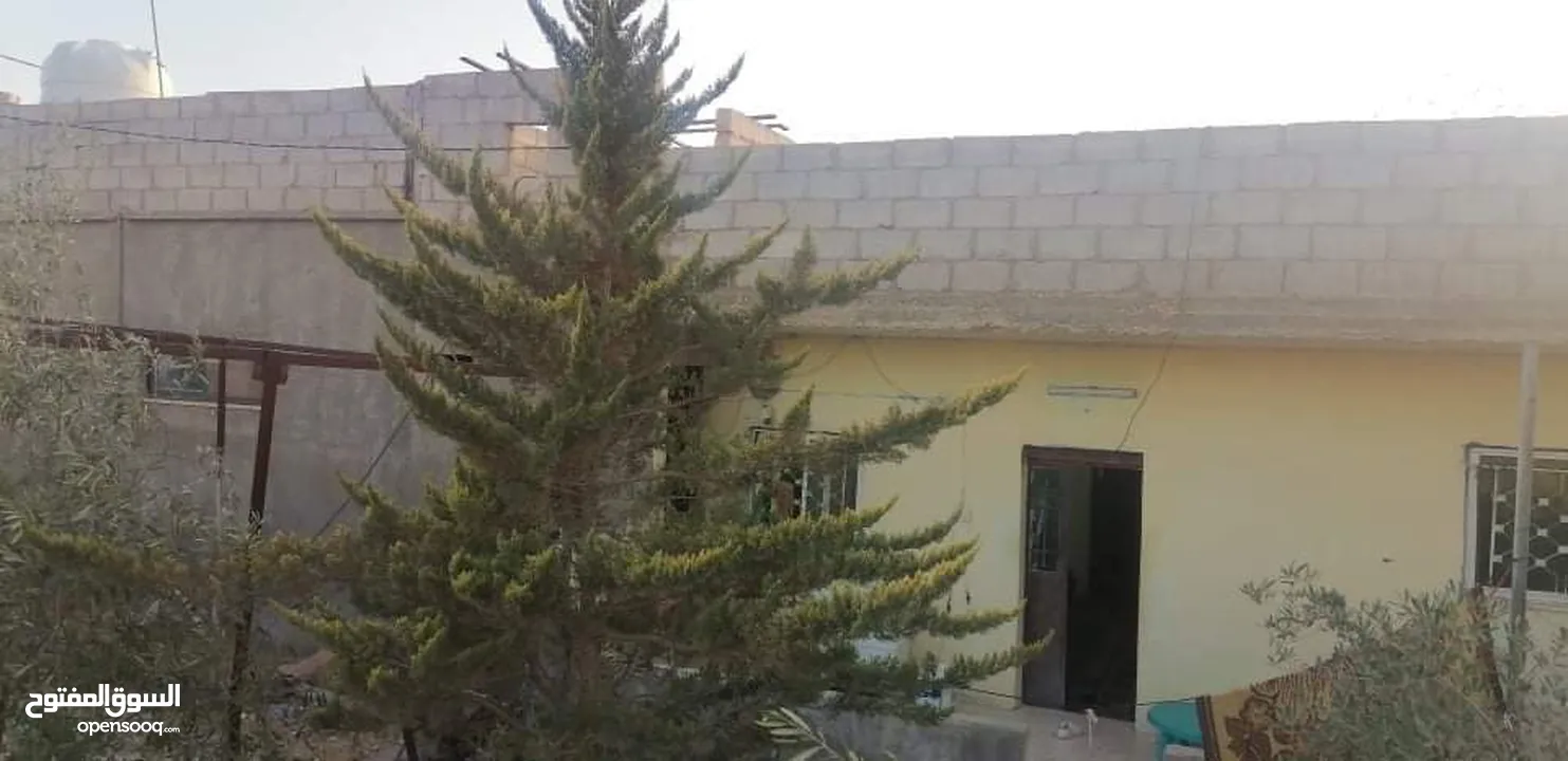 شقتين مشترك للبيع في ضاحية الملك عبدالله قرب مسجد عمار بن ياسر