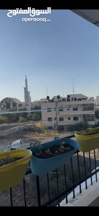 شقة للاجار البيرة شارع نابلس