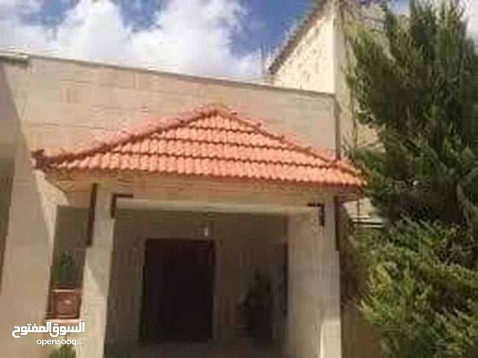 تركيب كافه اعمال القرميد وصيانه الكرميد من تسريب المياه واستبدال الحبه المكسور ومعالجه الخشب