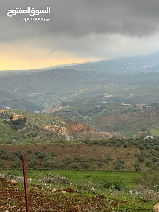 ارض للبيع جرش عنيبه منطقة شاليهات مساحة الارض 3500متر بقوشان مستقل اطلاله مميزه جدا جدا