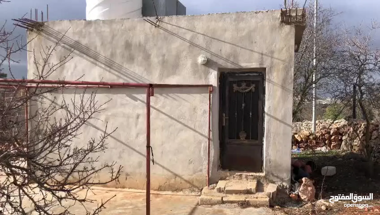 مزرعه وارض