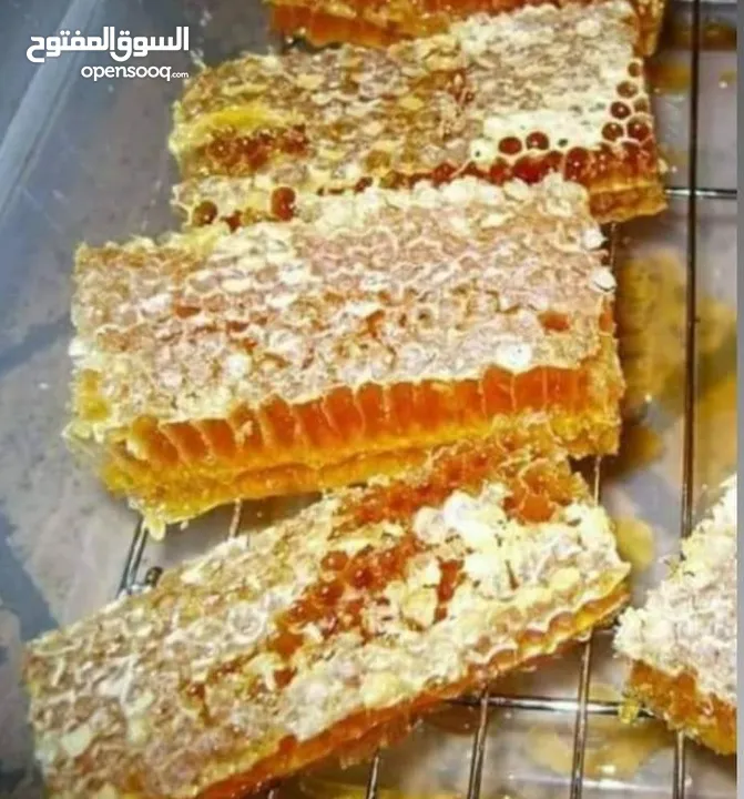 عسل طبيعي حمضي جبالي