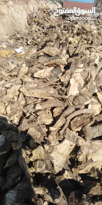 حطب زيتون زند وقرمي ناشف حطب لوزيات ناشف
