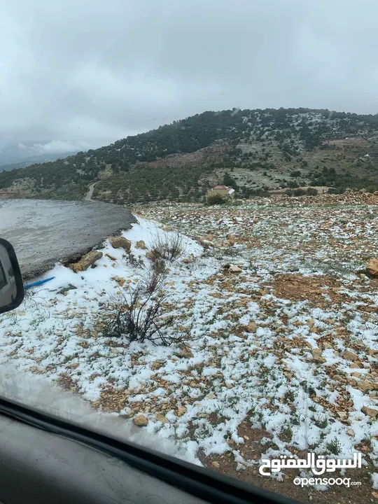 أرض ممتازة في جرش للسكن و للزراعة بقرب أحراش الدولة و سعر مغري  للمزيد من المعلومات اقرأ الوصف