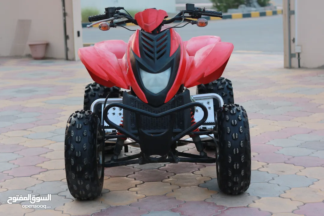 دراجة كبيرة بجي رابتر دباب  buggy تايوان taiwan bike big quad