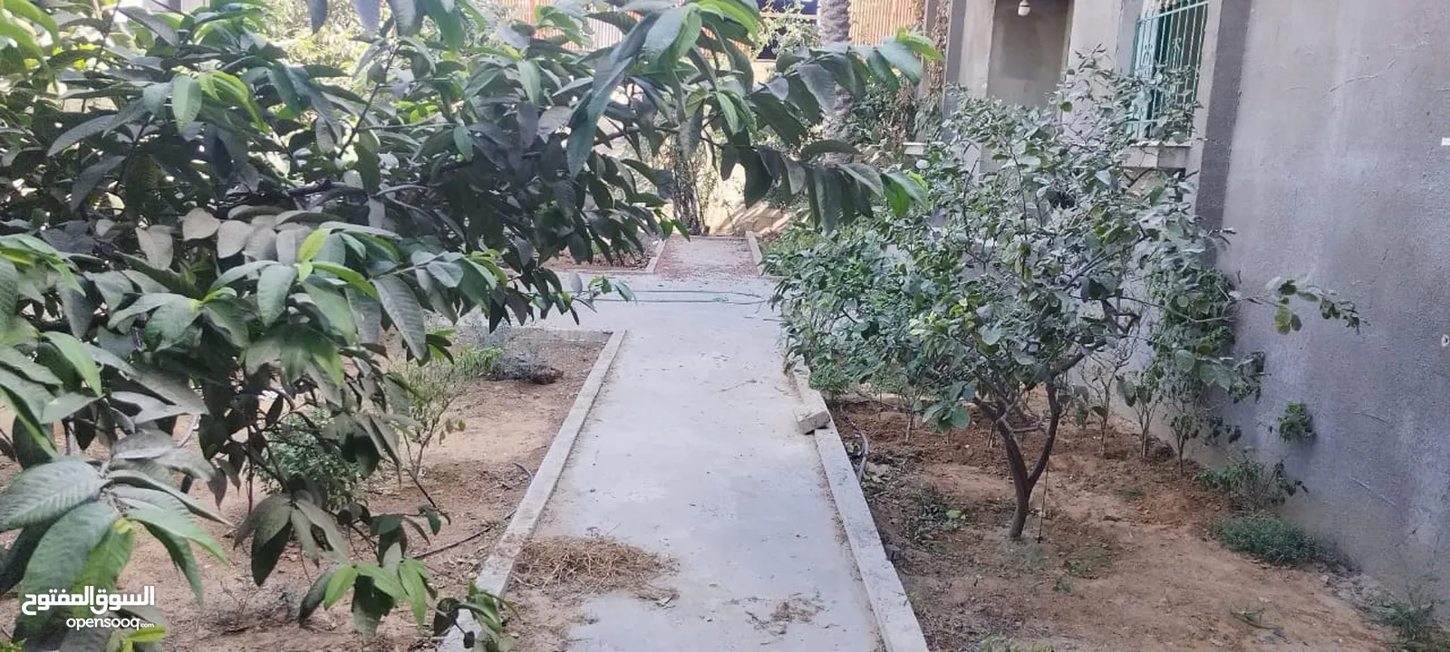 منزل طابقين للإيجار سنوي للمؤسسات الدولية او الحكومية