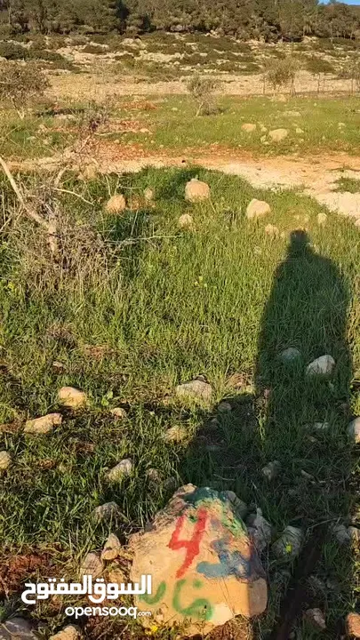 نمرة ارض مميزة للاستثمار الشخصي