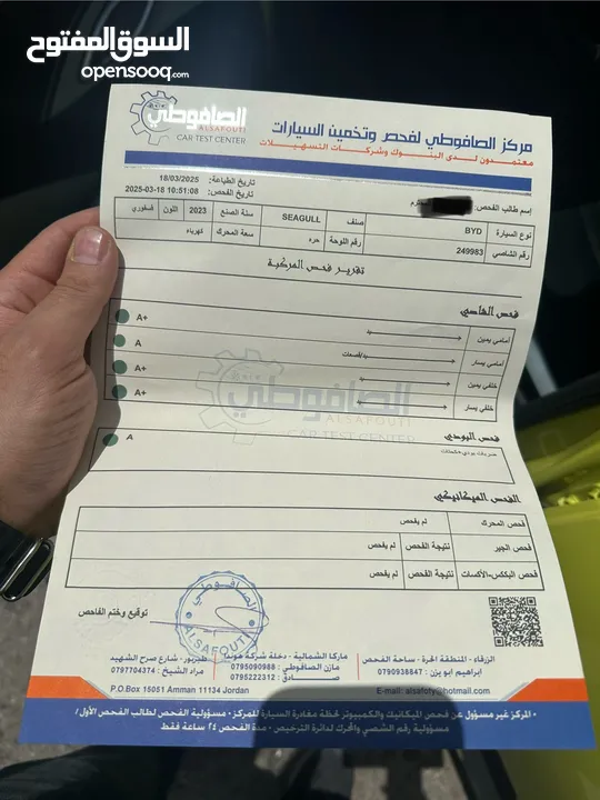 سيجال SEAGULL 2023 لون فسفوري