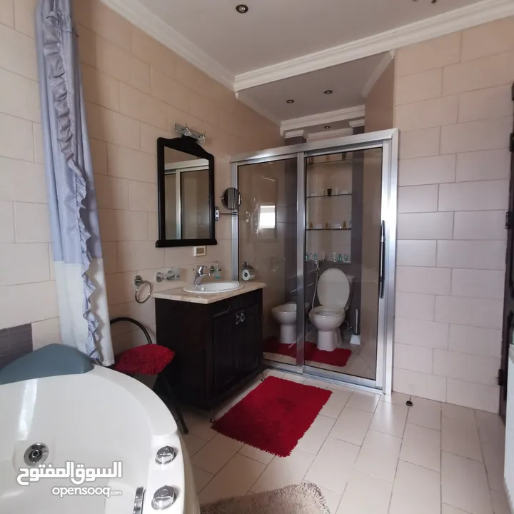 luxury furnished apartment for rent WhatsApp