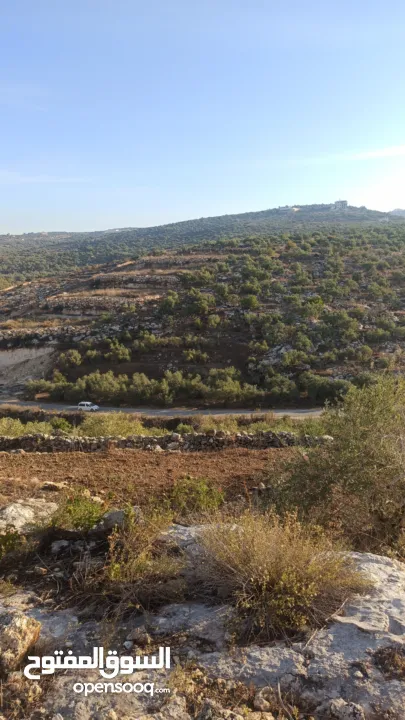 ارض على طريق بلعا دير الغصون قبل مفرق اكتابا