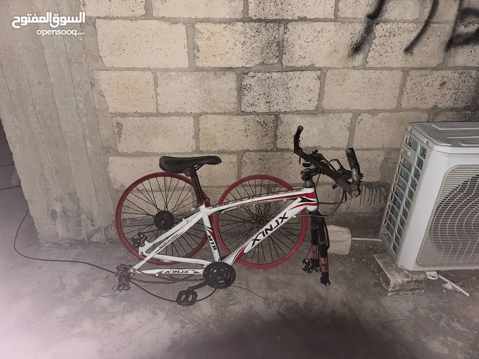 بسكاليت امريكي مستعمل للبيع بسعر 25 دينار