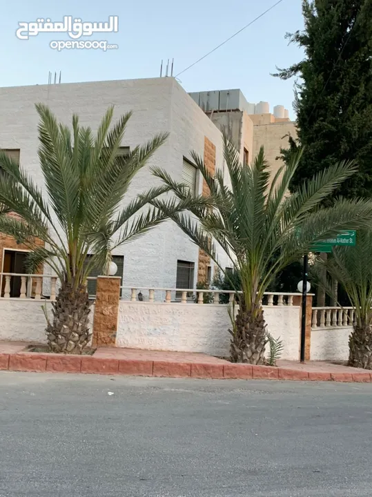 بيت في مرج الحمام بسعر مغري عباره عن عماره خاصه 3 طوابق