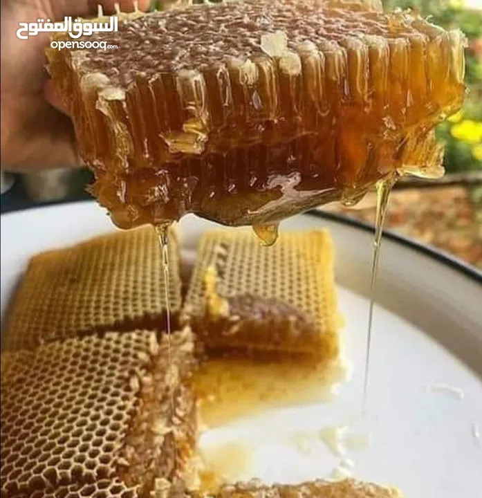 عسل الظاهر  للعسل البلدي الأصلي ومنتجات النحل