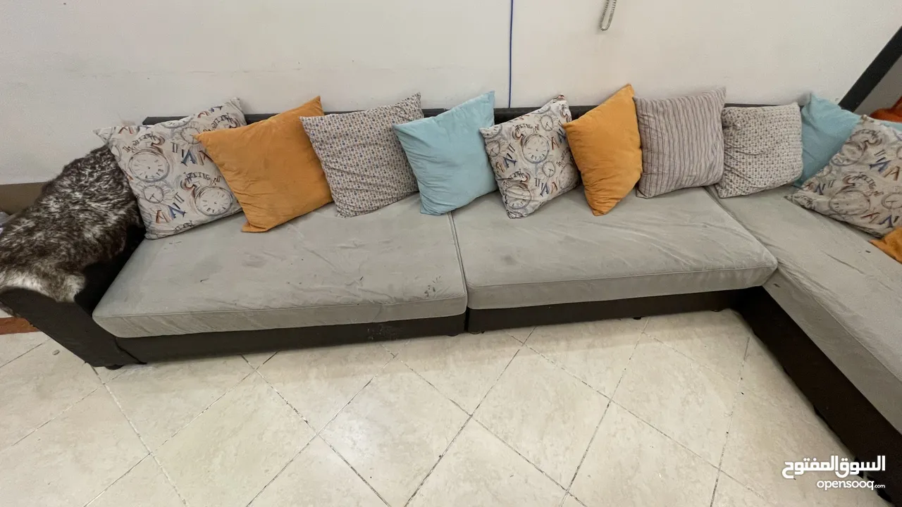 2 Sofa sets and Center Table