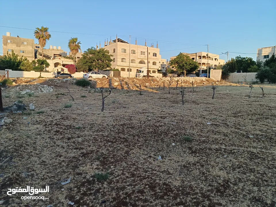 أرض سكني مميزه للبيع مباشره من المالك