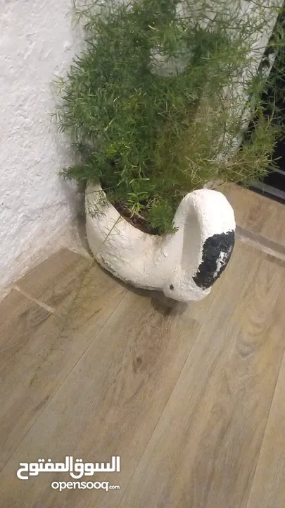 مجموعة اغراض للبيع