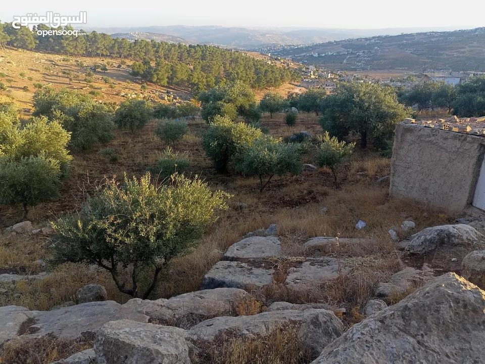 قطعة ارض مميزة للبيع في جرش ثغرة عصفور