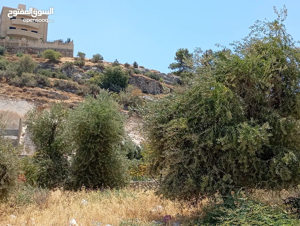 ارض مميزة مطلة ابو السوس غرب عمان عدة قطع في المنطقة.