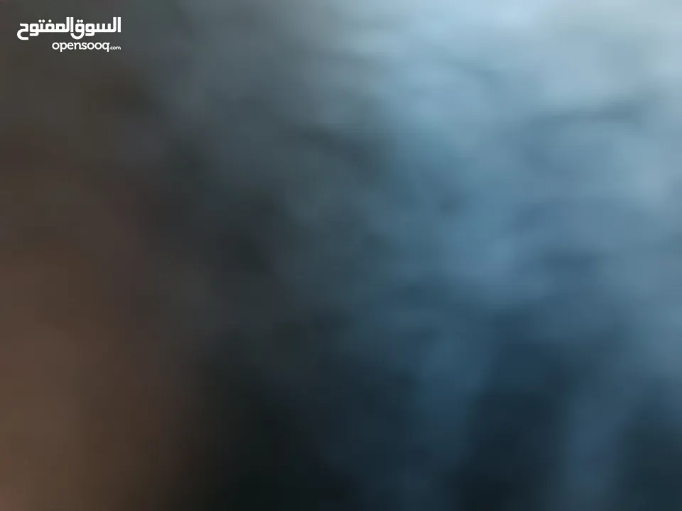 اوبل كورسا 2013