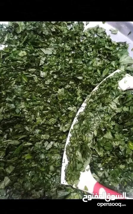 لتواصي ملوخيه ملقطه مغسوله ومفرومه على اليد ولف دوالي باسعار مناسبه