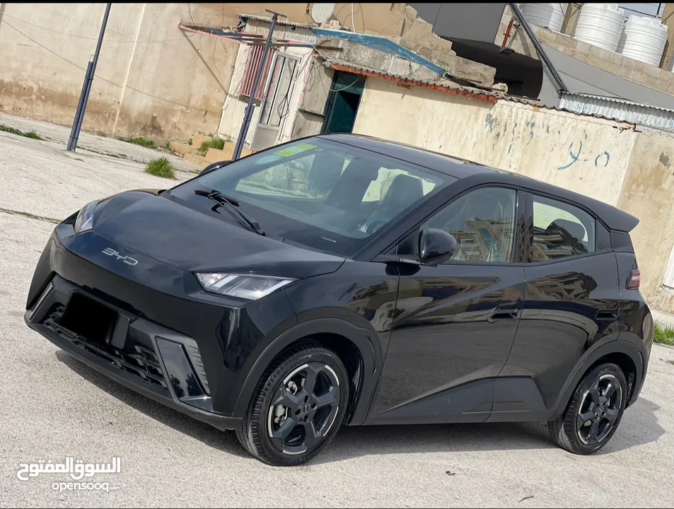 BYD سيجال 2024