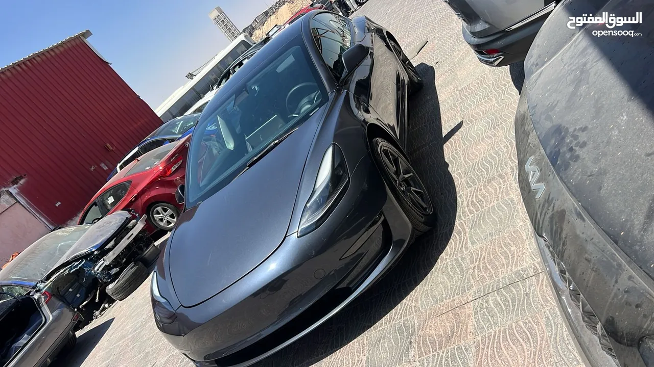 تيسلا موديل 3 لون فيراني ...2023 standard  plus  حرة