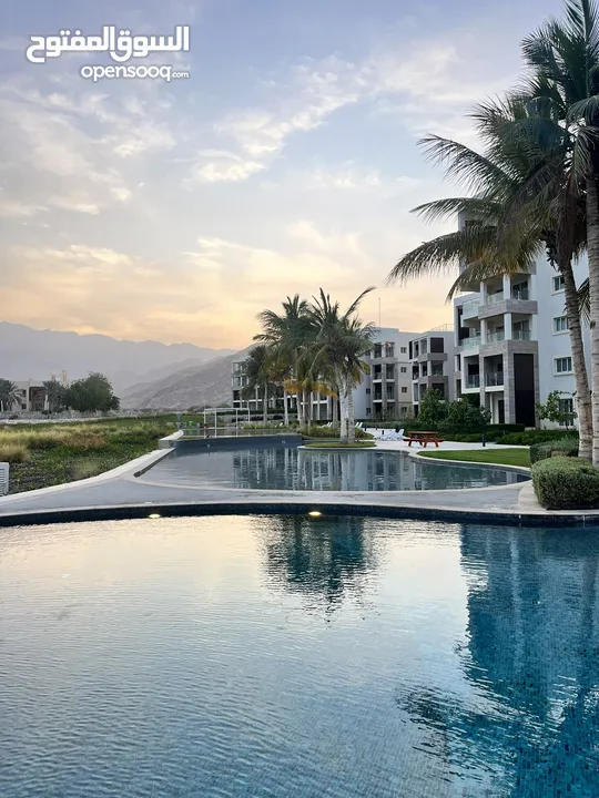 شقة بمنتجع جبل السيفة  Apartment in Jebel Sifah Resort