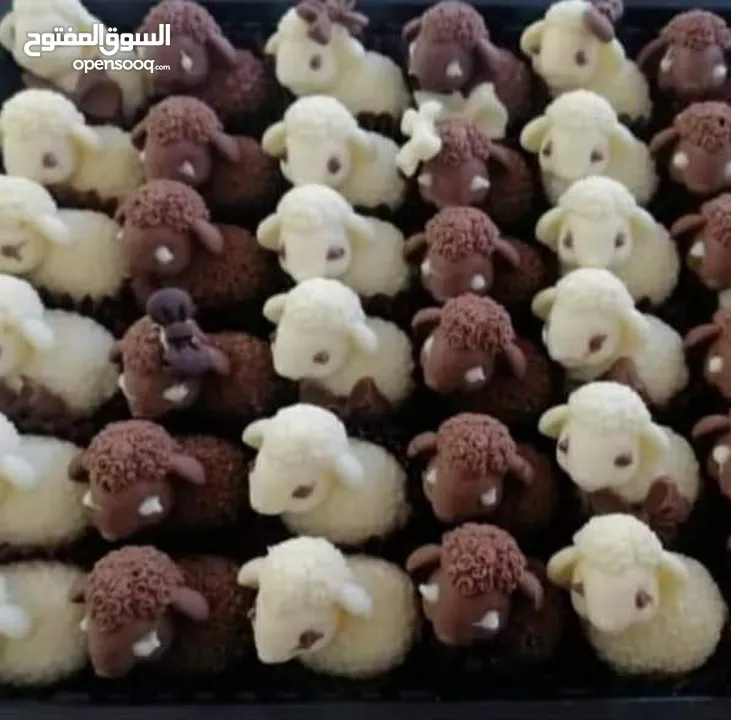 شكولاته بلجيكيه