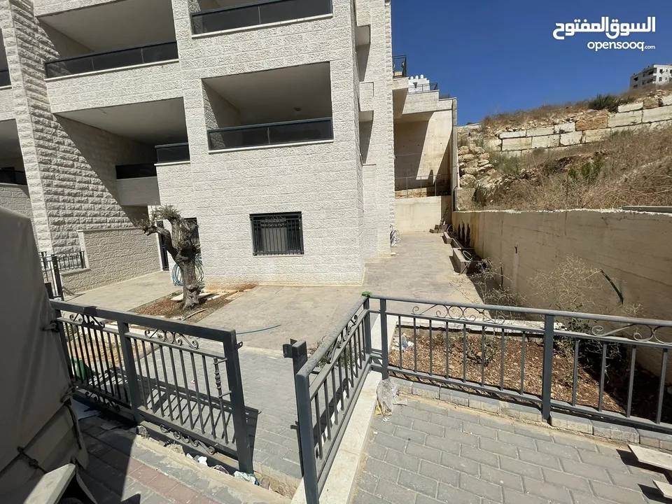 مرح صافي بال فايندر