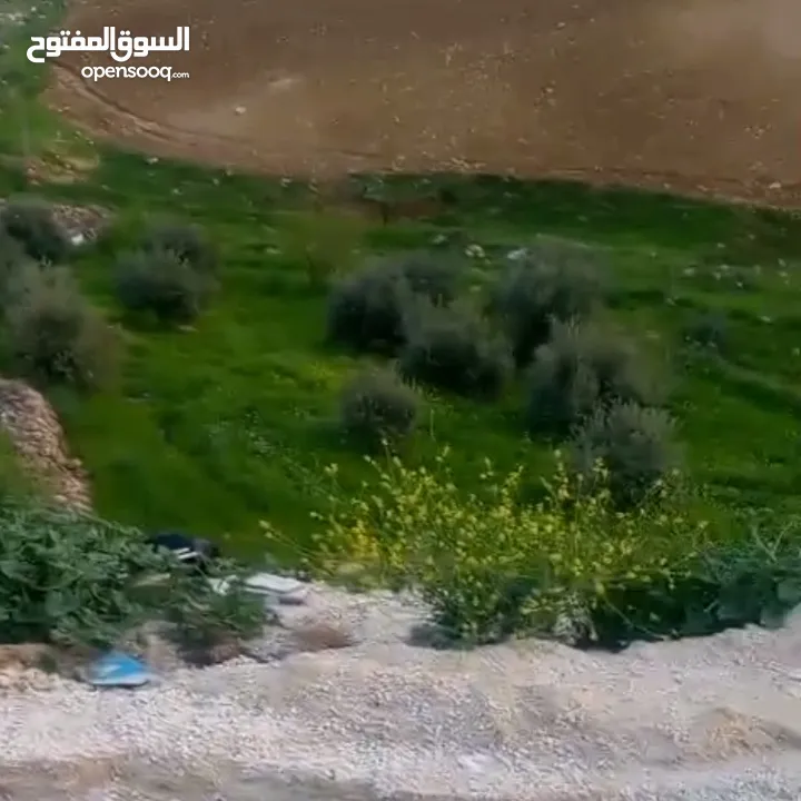 قطعة أرض مميزة للبيع في الظهير – حوض الدمينة
