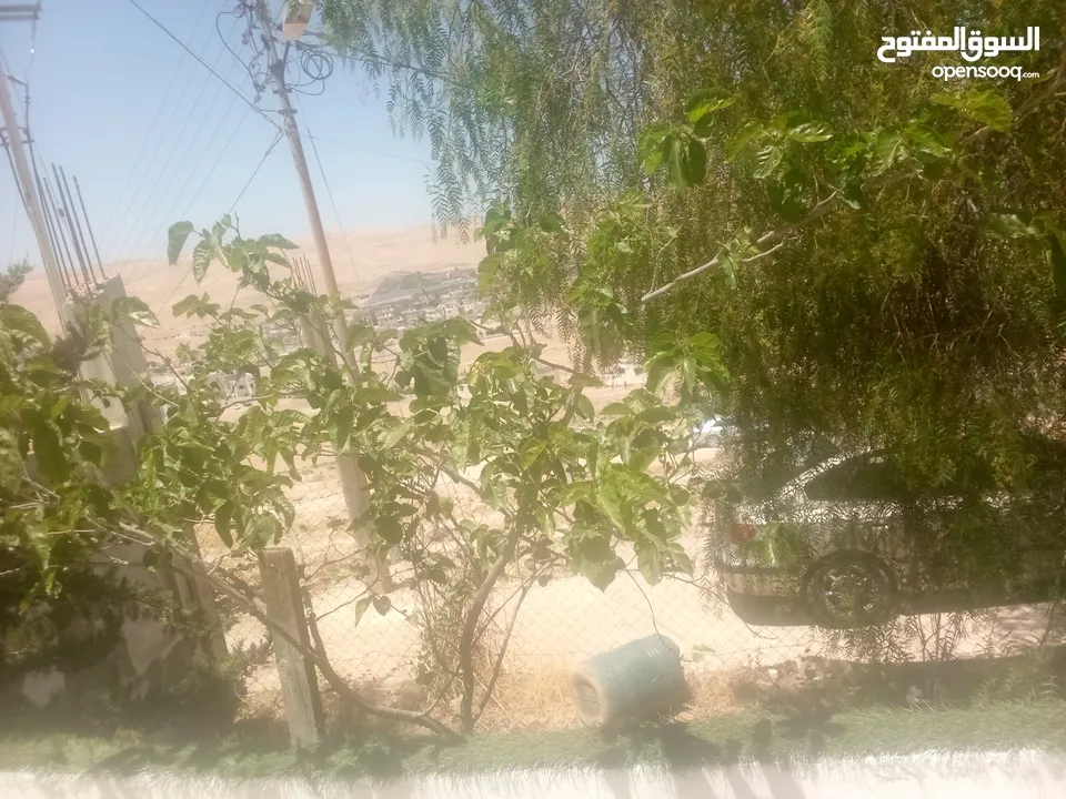 ارض +منزل وارض مزروعه اكثر من نوع شجر ونبات فيها منزلين وكراج سياره مع البيت ايضا وع شارع للبيع كامل