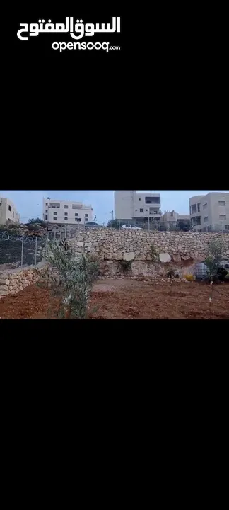 قطعة أرض مرتبة معمرة وجاهزة