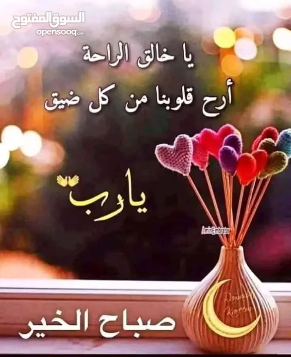 ارض للبيع جرش عنيبه 4600متر مفروزه بقوشان مستقل اطلاله مميزه جدا وسط الشاليهات والمزارع مسنسله
