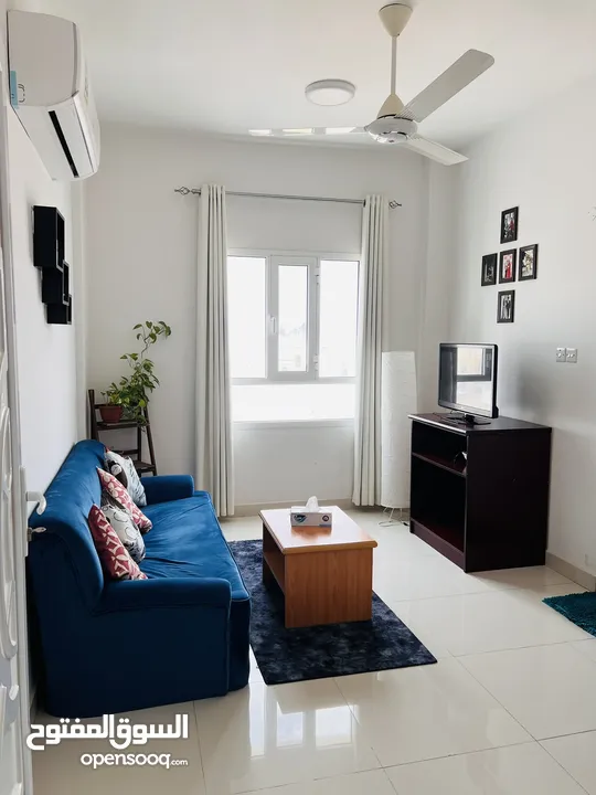 Flat for rent ,February 23 to April 15 (45 days only )