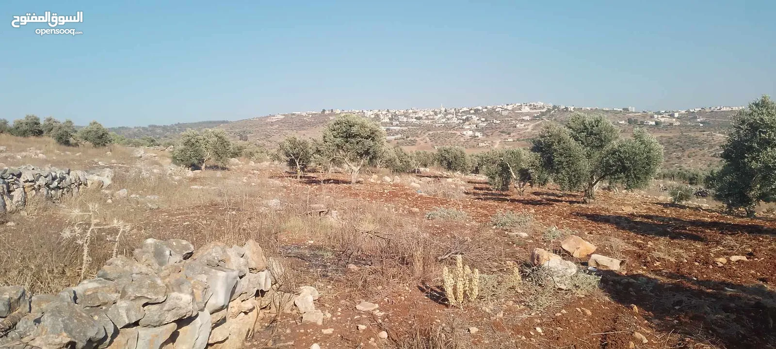 ارض للبيع في عربونه