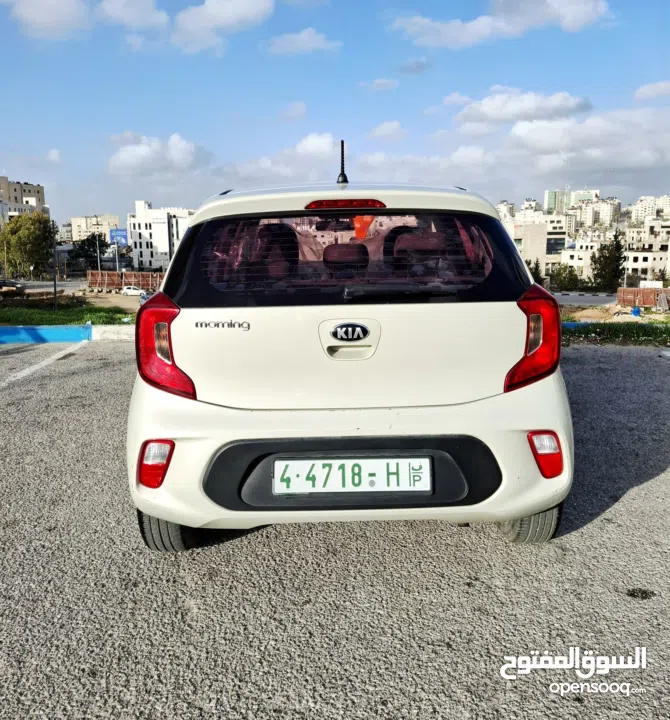 كيا بيكانتو 2019 دهان شركة