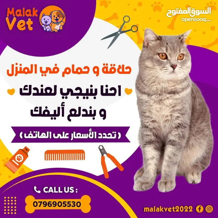 خدمات بيطرية متكاملة للحيوانات الاليفة