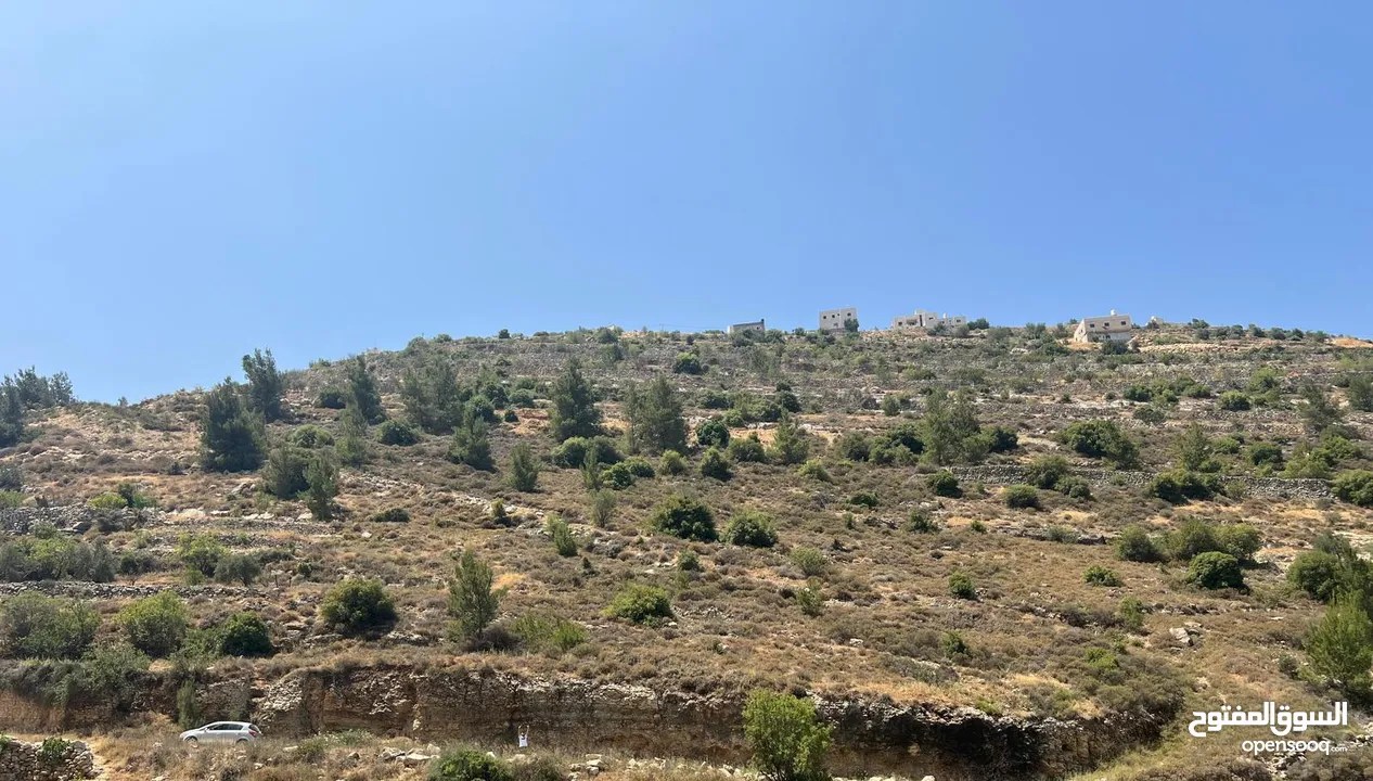 قطعة ارض تصنيف الف طابو في منطقة الخليل حسكا مساحة دونم تصنيف الف طابو