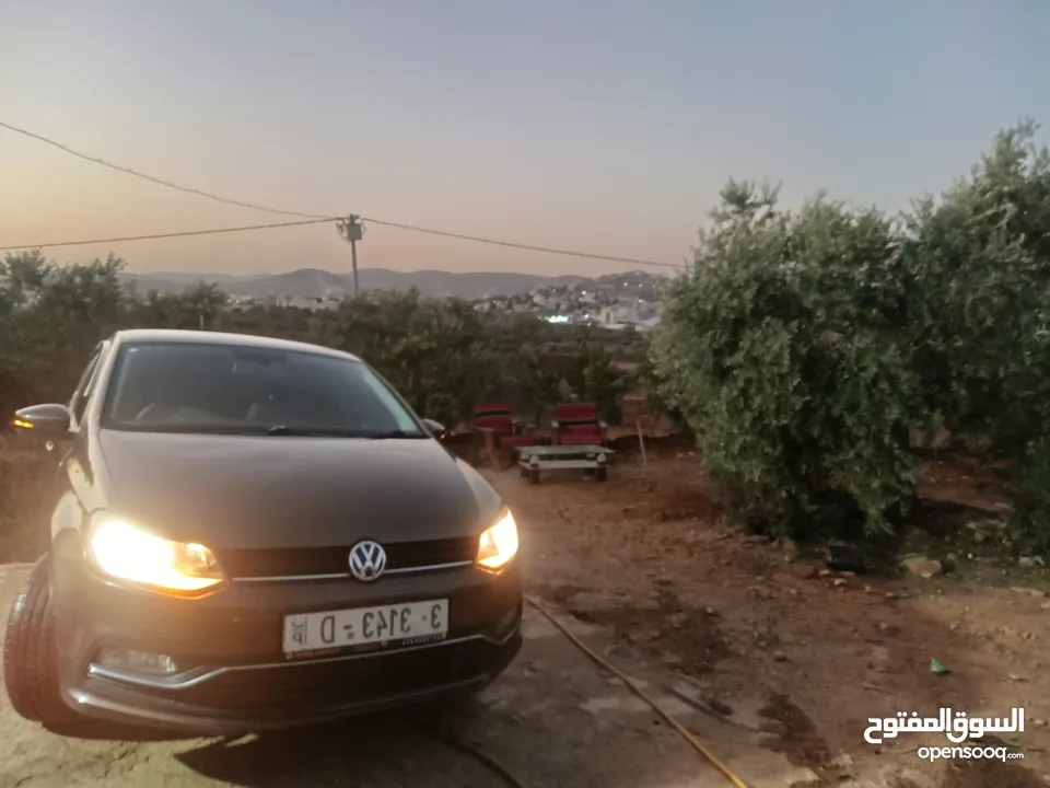 بولو جير عادي تحفة فنية