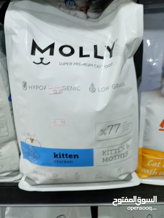 اكل قطط molly 2k : طعام حيوانات قطط : عمان المدينة الرياضية (232352096)