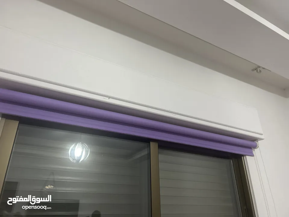 برداي زيبرا لون بنفسجي